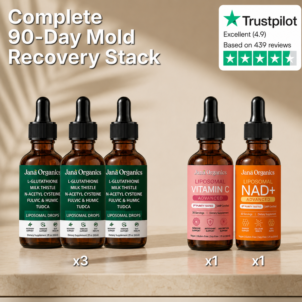 Complete 90-Day Mold Recovery Stack