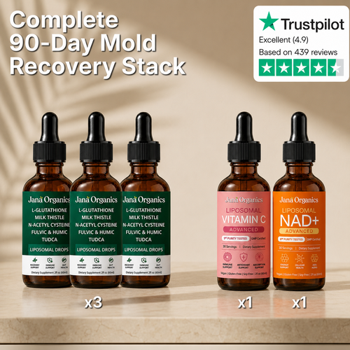 Complete 90-Day Mold Recovery Stack