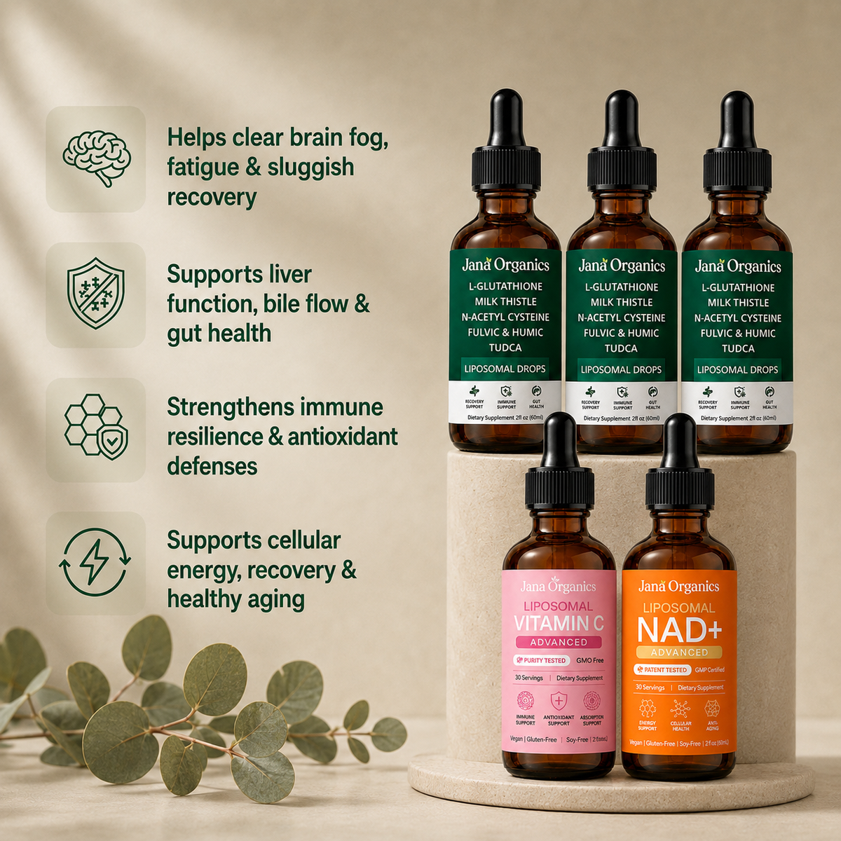 Complete 90-Day Mold Recovery Stack