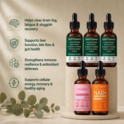 Complete 90-Day Mold Recovery Stack